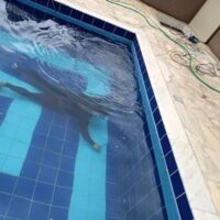 123366417_2750797718466740_2802555213007719661_n